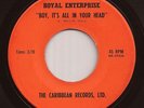 Obscure Fuzz Psych Garage 45 ROYAL ENTERPRISE Boy, Its All CARIBBEAN RECORDS mp3