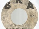 THE BLUES BUSTERS - HOW SWEET IT IS \ BEHOLD               7