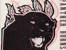 TAV FALCO PANTHER BURNS 4x7