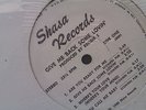 REGGIE S   Give me back some Lovin PROMO  LP   RARE  MODERN SOUL   BOOGIE  FUNK