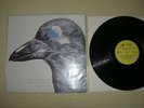 Strawberry Path - when the raven ... LP / far out flower travellin
