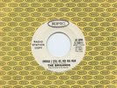 Hear - Rare Garage 45 - The Brigands - (Would I Still Be) Her Big Man - Epic- M-