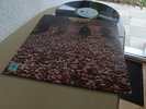 JELLYBREAD FIRST SLICE 1970 MINT 1ST BLUE HORIZON LP