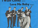 BRIAN POOLE & THE TREMELOES * I Want Candy * Deutsche Beat 45 PS