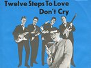 BRIAN POOLE & THE TREMELOES * Twelve Steps To Love * Deutsche Beat 45 PS