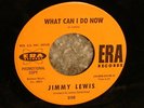 NORTHERN SOUL RARITY JIMMY LEWIS-,WHAT CAN I DO NOW