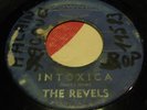 Rare Surf  The Revels 
