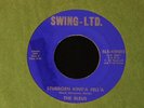 The Bleus-Stubborn Kind'a Fell'a-1967 AL Pvt.Garage/Soul 45 on Swing-Ltd.-HEAR