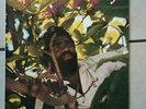 JUNIOR BYLES: Rasta No Pickpocket - 1986 Nighthawk US Original