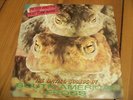 PETER AND THE TEST TUBE BABIES The Mating Sonds Of South American Frogs LP