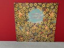 WIZZ JONES Magical Flight  Folk Prog UK 1977 VINYL LP 	PLR 009   MINT