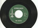 Rare Garage Rock 45 The Troyes Rainbow Chaser & Why 1966 Space Label nmint