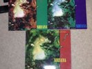 Nirvana, All Apologies / Rape me, U.K. 12 inch vinyl single