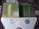 Sonic Youth Daydream Nation Blast First UK 1988 double LP vinyl BFFP 34
