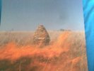 The Maccabees - Given To The Wild Vinyl 2LP Gatefold