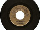 SURF GUITAR INSTRUMENTAL ROCKER- RUNABOUTS- 