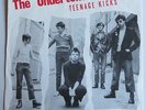 Undertones - Teenage Kicks 1980 Benelux 45 w/Super Unique PS Win & Hold It Tight