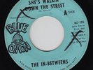 Ohio Northern Soul 45 THE IN-BETWEENS 