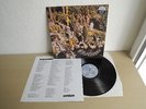 PARLIAMENT - OSMIUM 1999 IN MINT CONDITION WITH ORIGINAL INSERT