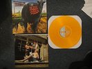 Blink 182 Dude Ranch Clear Orange vinyl punk box car racer +44 nofx rancid