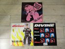 3 VINYLES MAXI 45T DIVINE