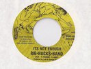 BIG BUCKS BAND It's Not Enough 45 RECORD RARE PRIVATE PUNK 1979 NORTH DAKOTA