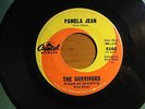Beach Boys  Related  Survivors  Pamela Jean/After The Game  prod. by Brian