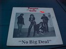 PARTNERS IN CRIME NO BIG DEAL LP MUTHA RECORDS 1984 KBD PUNK HC RARE N.J. BAND