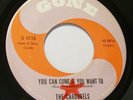 Sweet soul 45 - Carousels - You can come if you want to - Mint-