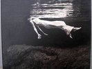 BILL EVANS JIM HALL UNDERCURRENT ORIG UNITED ARTISTS JAZZ LP