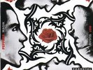 THE RED HOT CHILI PEPPERS / BLOOD SUGAR SEX MAGIK // Double LP Vinyl Record