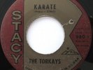 THE TORKAYS   Karate / I Don't Like It   MOD SURF-GARAGE ROCKER on Stacy   HEAR