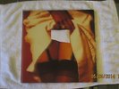 THE TWILIGHT SINGERS-SHE LOVES YOU   afghan whigs  greg dulli original cover