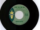 Rare Doo Wop Vocal Group 45 Check-Mates 