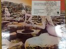 Led Zeppelin Houses of The Holy vinyl recored SEALED SD 19130