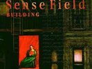 Sense Field Building LP color vinyl Limited Edition 2014 RSD Brand New