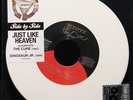 DINOSAUR JR. & THE CURE SIDE BY SIDE JUST LIKE HEAVEN 7