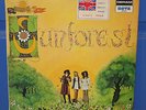 Listen: SUNFOREST SOUND OF SUNFOREST ORIGINAL UK 12