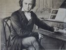 piano MARIA GRINBERG Beethoven 32 Sonatas 13LP BOX SET MELODIYA STEREO C10-05573