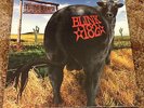 Blink-182 - Dude Ranch - MTS Green Transparent Vinyl - Rare Limited to 500