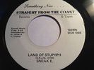 RARE OHIO PRIVATE FUNK RAP 45/ SNEAK E. 