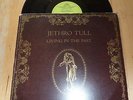 JETHRO TULL 