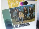 LP  -   BRIAN POOLE & THE TREMELOES = BRIAN POOLE IS HERE   (MADE IN USA)