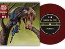 Sunny Day Real Estate / Circa Survive- split  7