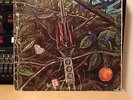 Dragonfly Self Titled Original Pressing Lp  Psych Fuzz Garage Look