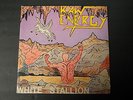 RAW ENERGY- White Stallion EP SEALED-  SLAYER ANTHRAX EXODUS DRI MEGADETH