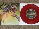 Sunny Day Real Estate Circa Survive 7