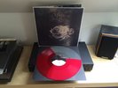 More Than Life - Whats Left Of Me Vinyl LP. Basement Bxp Dead Swans Gnarwolves