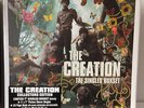 THE CREATION 7