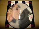 BLONDIE  parallel lines  Picture disc Vinyl LP     £1 Start